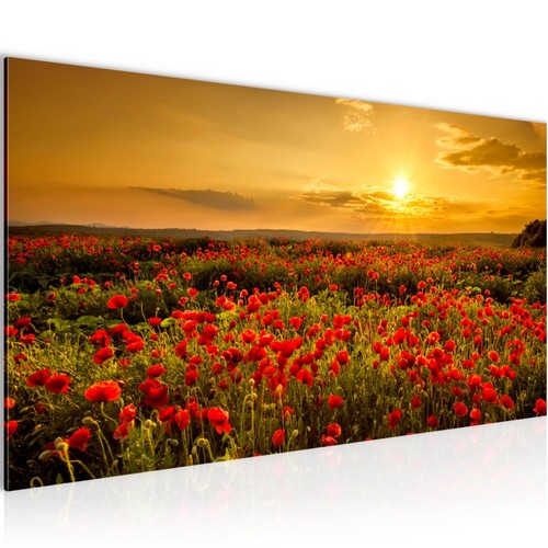 Wandbilder xxl blumen - xxl,