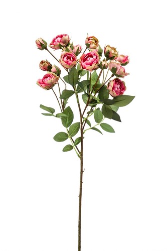 Artplants dekozweig rosen - dekozweig,
