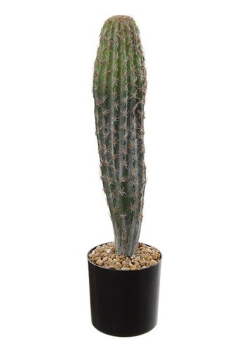 Artplants deko kaktus san - artplants,