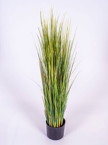 Artplants deko schilfgras - artplants,