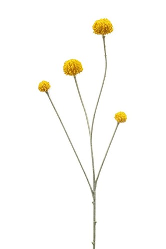 Artplants deko zweig - deko,
