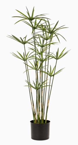 Artplants deko gras zyperngras - gras,